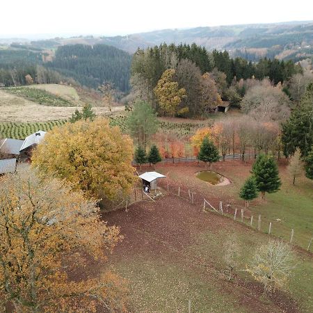 Vila Le Brocard Des Fagnes - 16 Pers Malmedy Exteriér fotografie